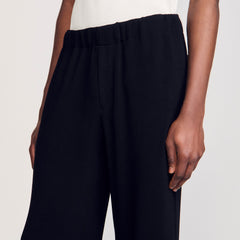 Sandro / Pleated trousers Black