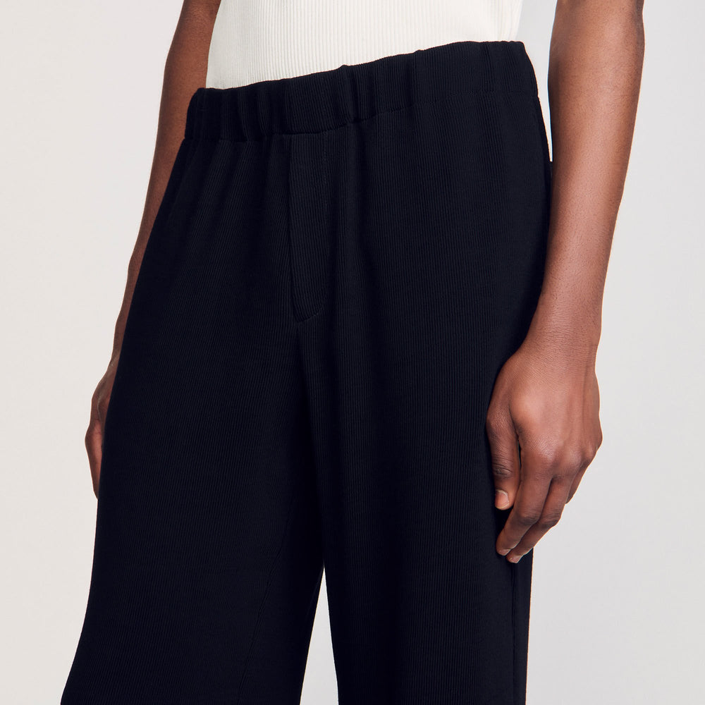 Sandro / Pleated trousers Black